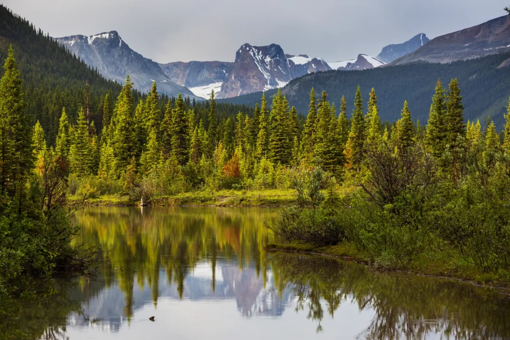 Navigating Canada’s National Parks