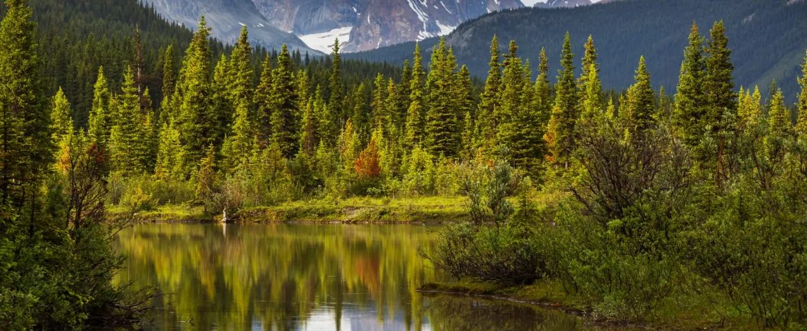 Navigating Canada’s National Parks